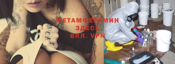 прущие грибы Долгопрудный