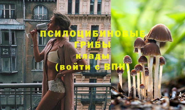 стафф Магас