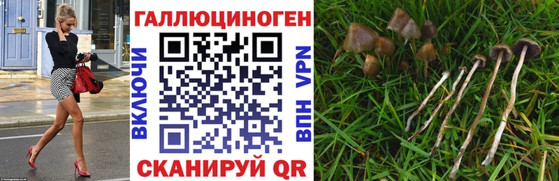 Псилоцибиновые грибы прущие грибы  где купить наркоту  Саяногорск 