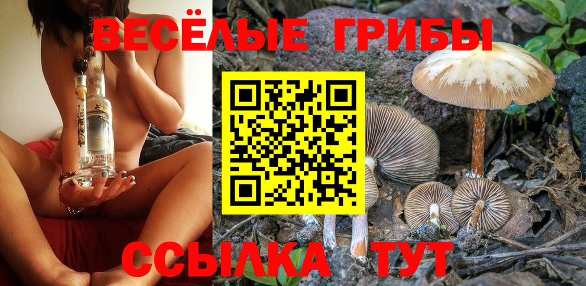 Псилоцибиновые грибы Psilocybine cubensis  Вход с VPN  Саяногорск 