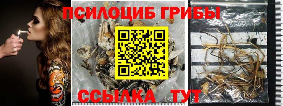 Псилоцибиновые грибы мухоморы Саяногорск